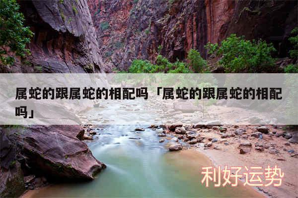 属蛇的跟属蛇的相配吗及属蛇的跟属蛇的相配吗