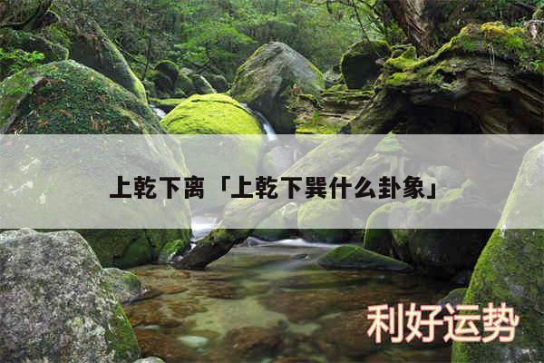 上乾下离及上乾下巽什么卦象