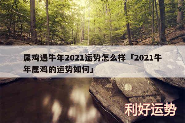 属鸡遇牛年2024运势怎么样及2024牛年属鸡的运势如何