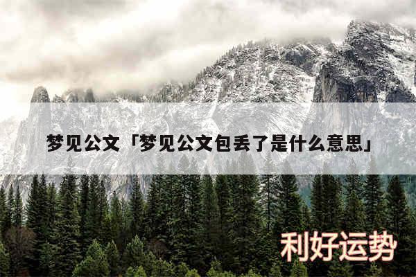 梦见公文及梦见公文包丢了是什么意思
