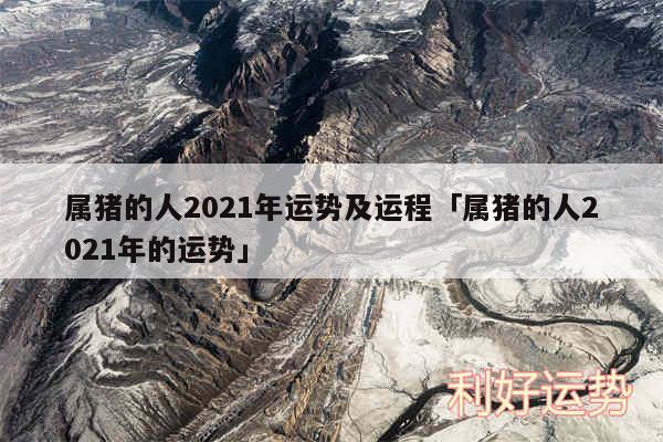 属猪的人2024年运势及运程及属猪的人2024年的运势