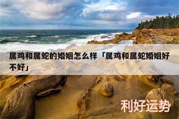 属鸡和属蛇的婚姻怎么样及属鸡和属蛇婚姻好不好