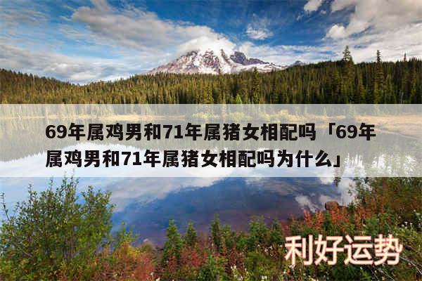 69年属鸡男和71年属猪女相配吗及69年属鸡男和71年属猪女相配吗为什么