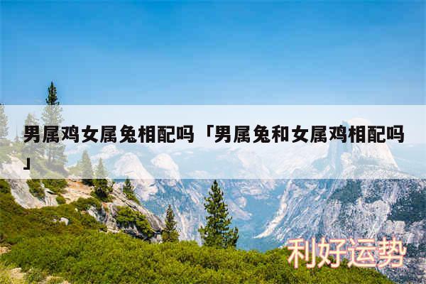 男属鸡女属兔相配吗及男属兔和女属鸡相配吗