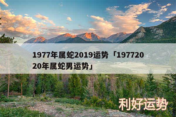 1977年属蛇2019运势及19772020年属蛇男运势