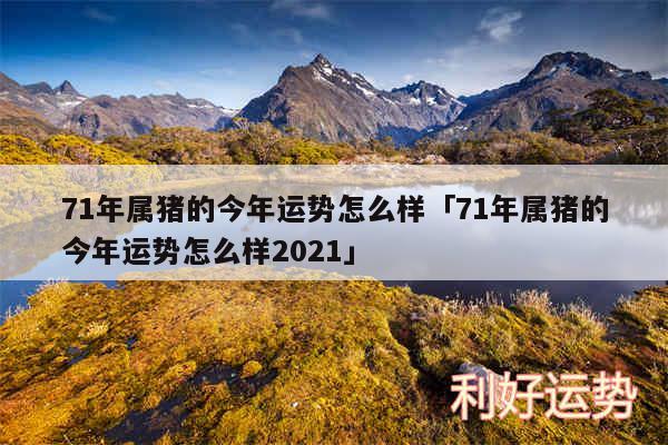 71年属猪的今年运势怎么样及71年属猪的今年运势怎么样2024