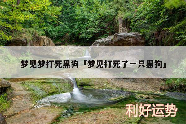 梦见梦打死黑狗及梦见打死了一只黑狗