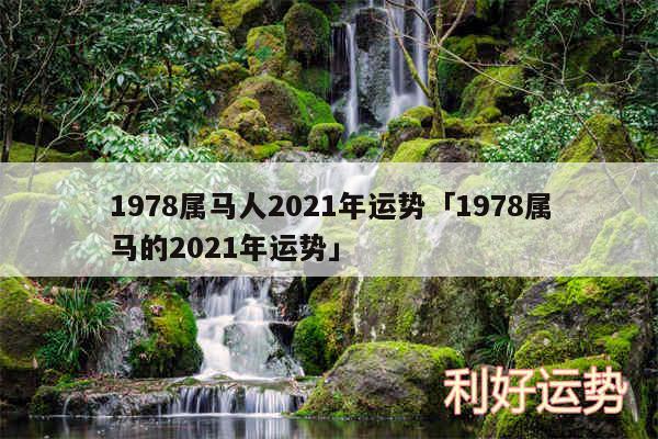 1978属马人2024年运势及1978属马的2024年运势