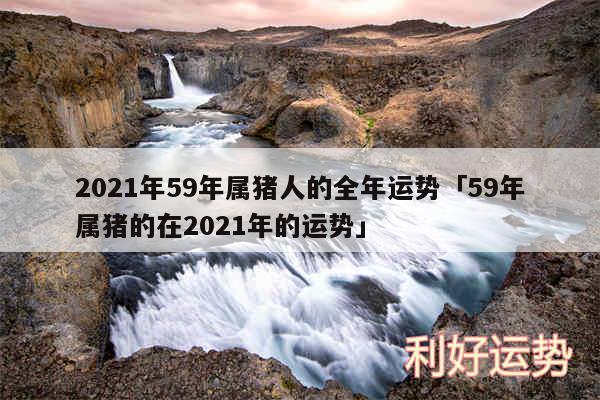 2024年59年属猪人的全年运势及59年属猪的在2024年的运势