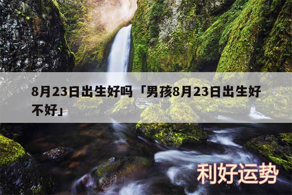 8月23日出生好吗及男孩8月23日出生好不好