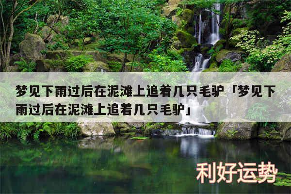 梦见下雨过后在泥滩上追着几只毛驴及梦见下雨过后在泥滩上追着几只毛驴