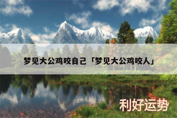 梦见大公鸡咬自己及梦见大公鸡咬人