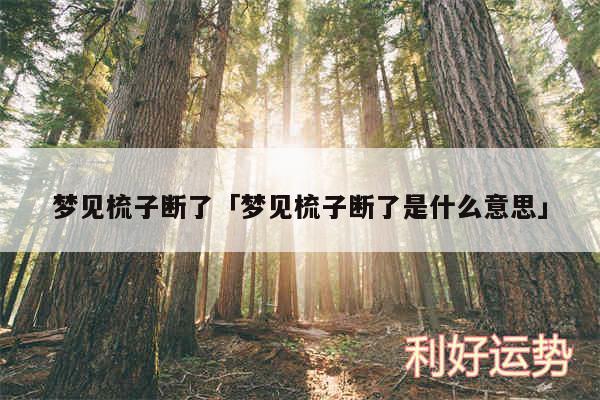 梦见梳子断了及梦见梳子断了是什么意思