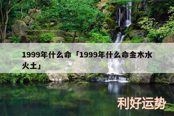 1999年什么命及1999年什么命金木水火土