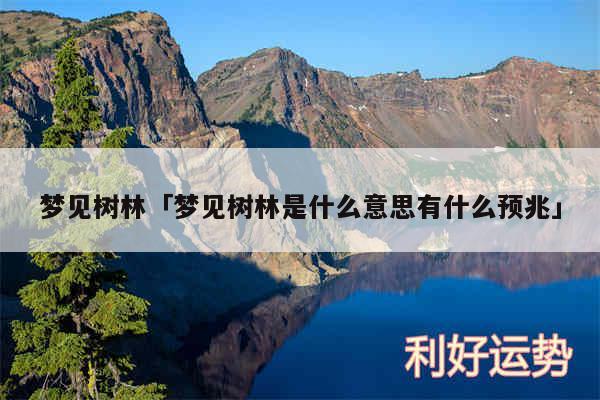 梦见树林及梦见树林是什么意思有什么预兆