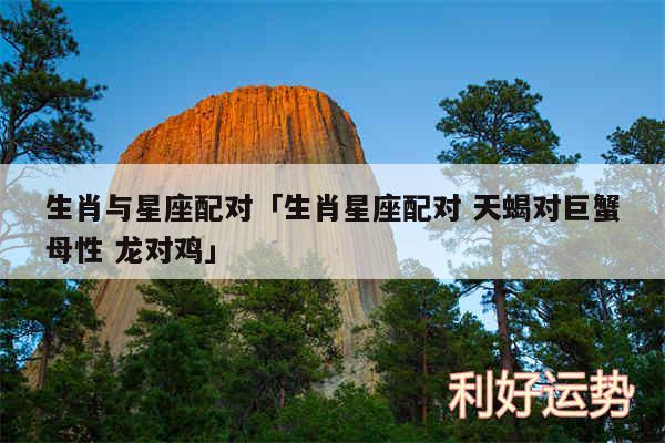 生肖与星座配对及生肖星座配对 天蝎对巨蟹母性 龙对鸡
