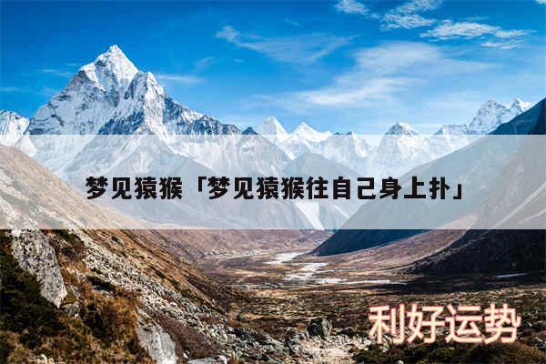 梦见猿猴及梦见猿猴往自己身上扑