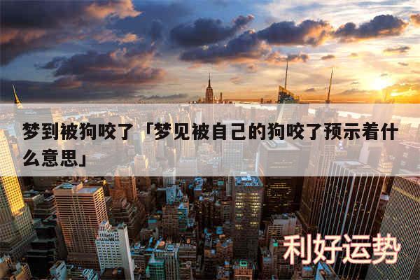 梦到被狗咬了及梦见被自己的狗咬了预示着什么意思