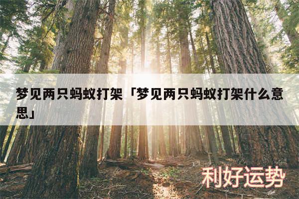 梦见两只蚂蚁打架及梦见两只蚂蚁打架什么意思