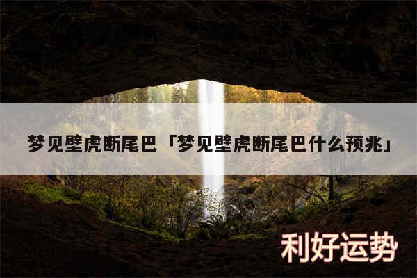 梦见壁虎断尾巴及梦见壁虎断尾巴什么预兆