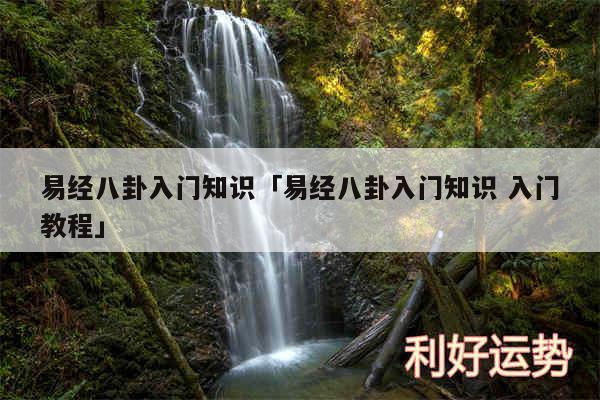 易经八卦入门知识及易经八卦入门知识 入门教程