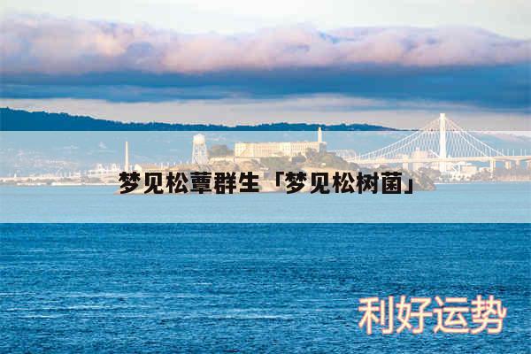梦见松蕈群生及梦见松树菌