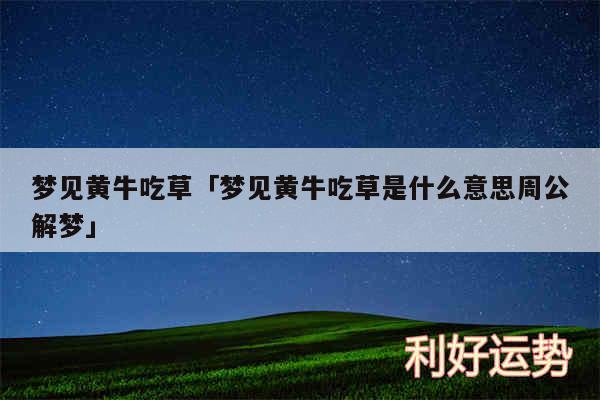 梦见黄牛吃草及梦见黄牛吃草是什么意思周公解梦