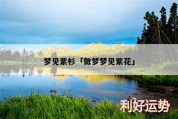 梦见紫杉及做梦梦见紫花
