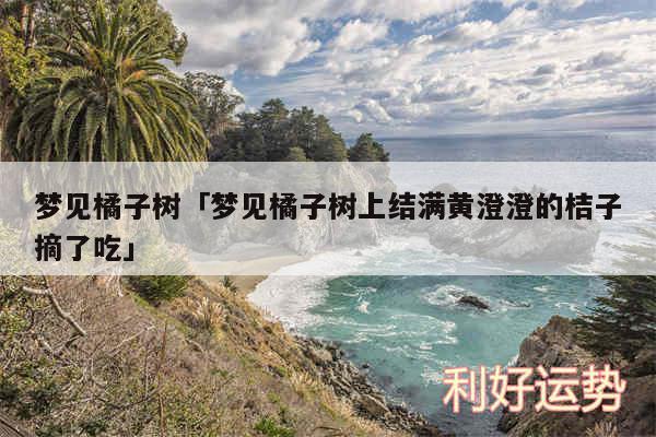 梦见橘子树及梦见橘子树上结满黄澄澄的桔子摘了吃