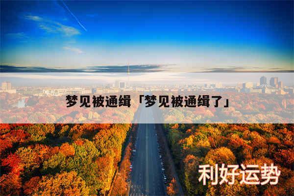 梦见被通缉及梦见被通缉了