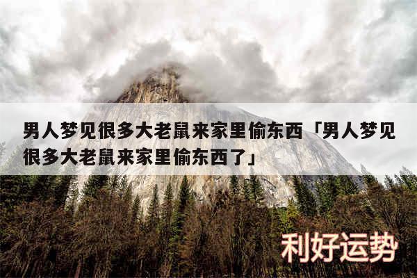 男人梦见很多大老鼠来家里偷东西及男人梦见很多大老鼠来家里偷东西了