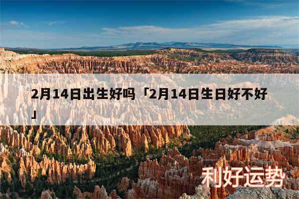 2月14日出生好吗及2月14日生日好不好