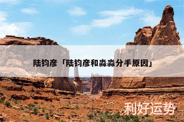陆钧彦及陆钧彦和淼淼分手原因