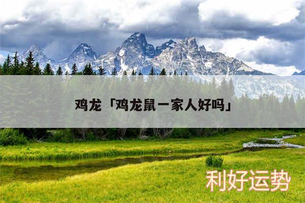 鸡龙及鸡龙鼠一家人好吗