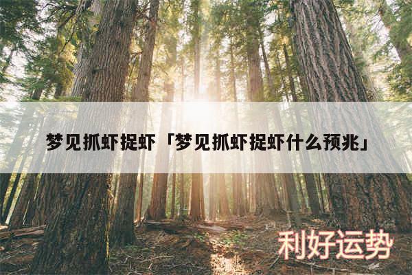 梦见抓虾捉虾及梦见抓虾捉虾什么预兆