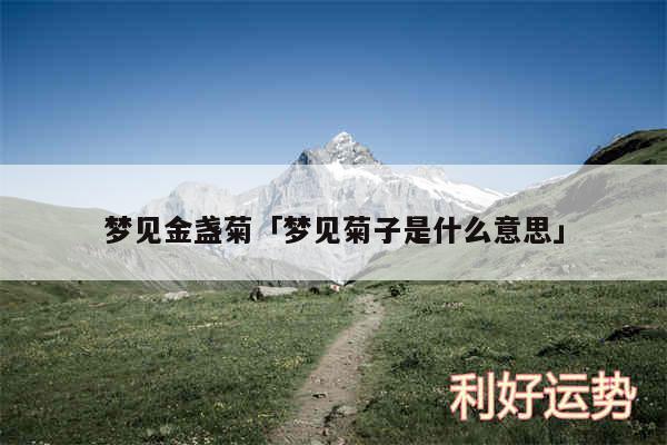 梦见金盏菊及梦见菊子是什么意思