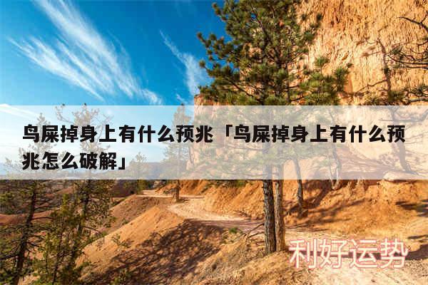 鸟屎掉身上有什么预兆及鸟屎掉身上有什么预兆怎么破解