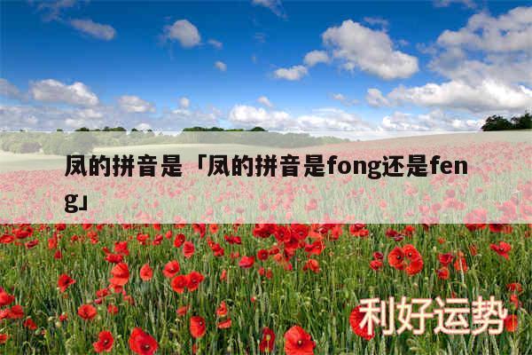 凤的拼音是及凤的拼音是fong还是feng