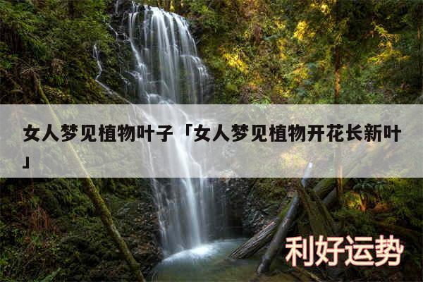 女人梦见植物叶子及女人梦见植物开花长新叶