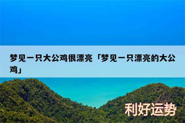 梦见一只大公鸡很漂亮及梦见一只漂亮的大公鸡