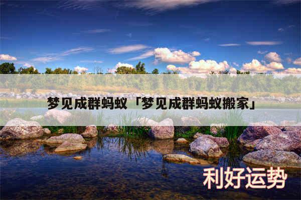 梦见成群蚂蚁及梦见成群蚂蚁搬家