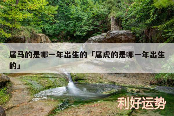 属马的是哪一年出生的及属虎的是哪一年出生的