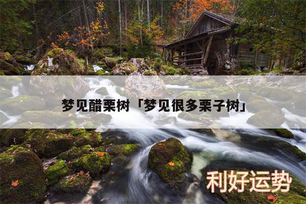 梦见醋栗树及梦见很多栗子树