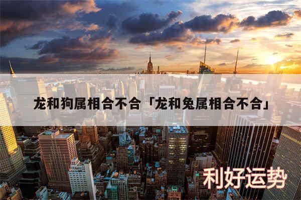龙和狗属相合不合及龙和兔属相合不合