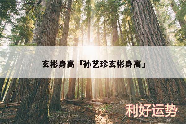玄彬身高及孙艺珍玄彬身高