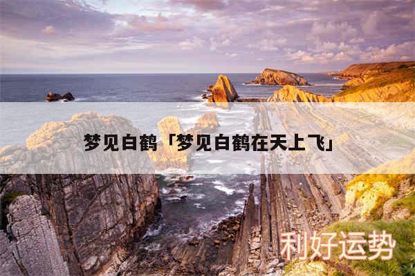 梦见白鹤及梦见白鹤在天上飞
