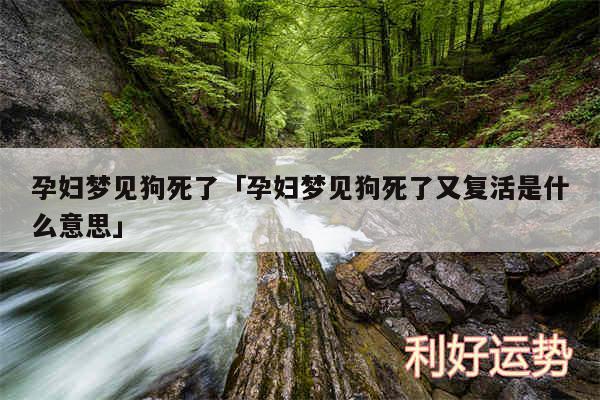 孕妇梦见狗死了及孕妇梦见狗死了又复活是什么意思