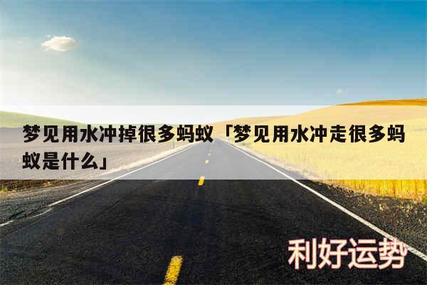 梦见用水冲掉很多蚂蚁及梦见用水冲走很多蚂蚁是什么