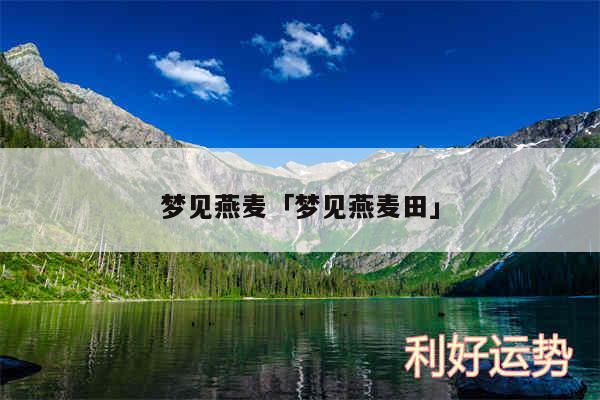梦见燕麦及梦见燕麦田