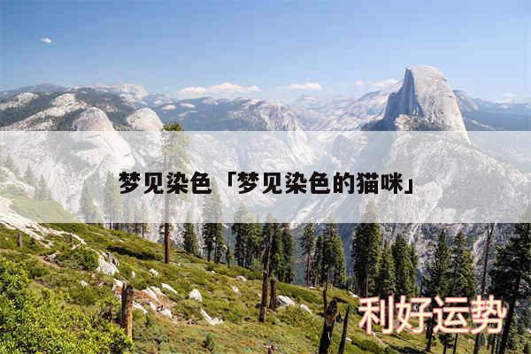 梦见染色及梦见染色的猫咪